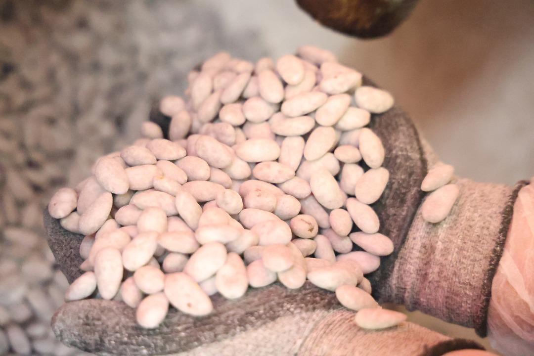 29 günde 10 ton sattı! Çerez gibi yiyorlar 1