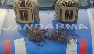 Kırşehir&rsquo;de ka&ccedil;ak keklik avcıları yakalandı