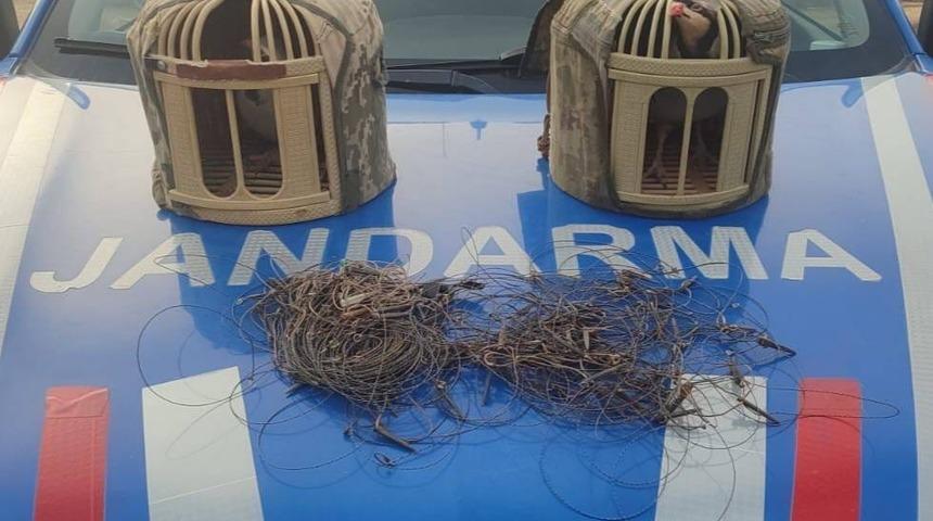 Kırşehir&rsquo;de ka&ccedil;ak keklik avcıları yakalandı