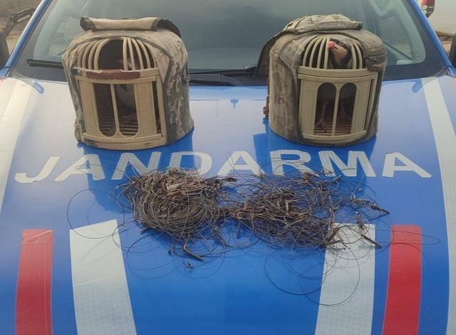 Kırşehir'de kaçak keklik avcıları yakalandı