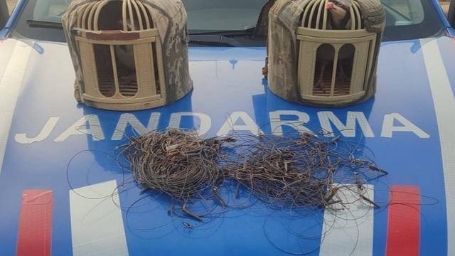 Kırşehir'de kaçak keklik avcıları yakalandı