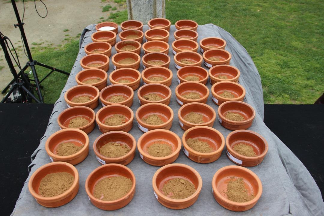 D&uuml;nyanın en kadim ve en eski festivali: Mesir Macunu i&ccedil;in kazanın i&ccedil;ine girdiler 8