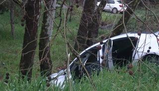 Pendik&rsquo;te virajı alamayan s&uuml;r&uuml;c&uuml; ağaca &ccedil;arptı