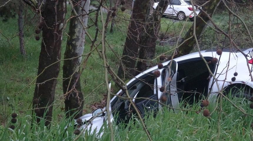 Pendik&rsquo;te virajı alamayan s&uuml;r&uuml;c&uuml; ağaca &ccedil;arptı