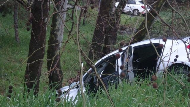 Pendik’te virajı alamayan sürücü ağaca çarptı