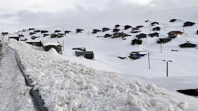 Ardahan ile Artvin arasındaki yaylalar beyaza büründü