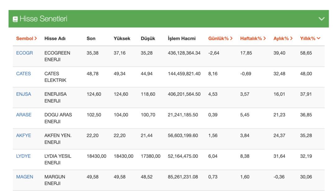 BIST enerji hisseleri ilk çeyrekte %50’ye yakın kazandırdı 1