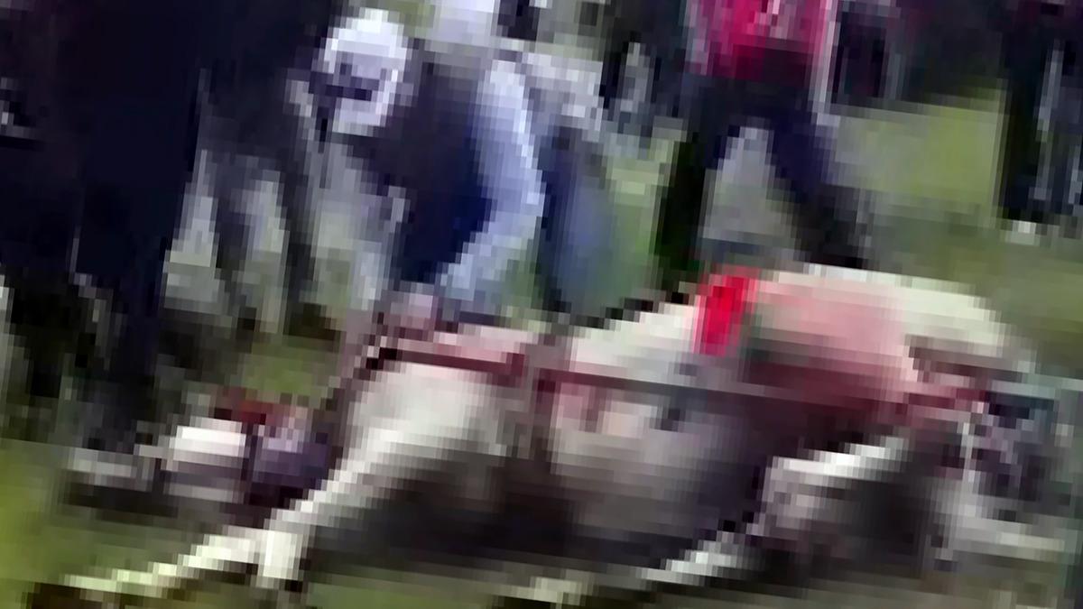 Koşmadığı için döve döve atı bayıltmışlardı! O canilere ibretlik ceza - Mynet Yaşam