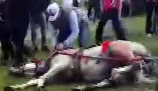 Koşmadığı i&ccedil;in d&ouml;ve d&ouml;ve atı bayıltmışlardı! O canilere ibretlik ceza