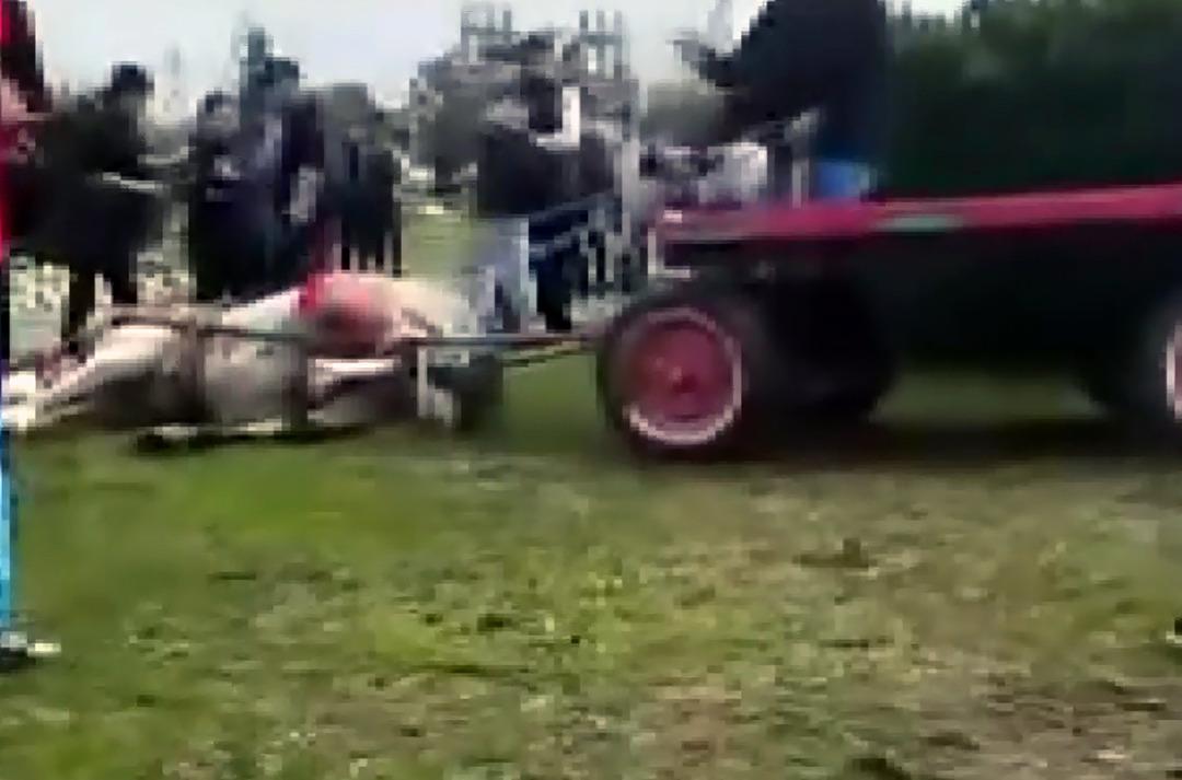 Koşmadığı için döve döve atı bayıltmışlardı! O canilere ibretlik ceza 1