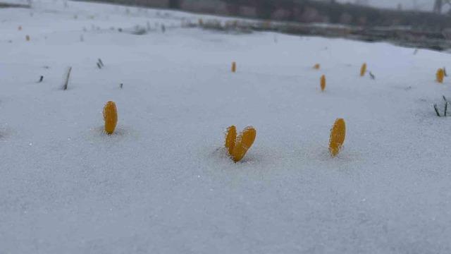 Bayram tatilinde kar yağışının tadını çıkardılar 1
