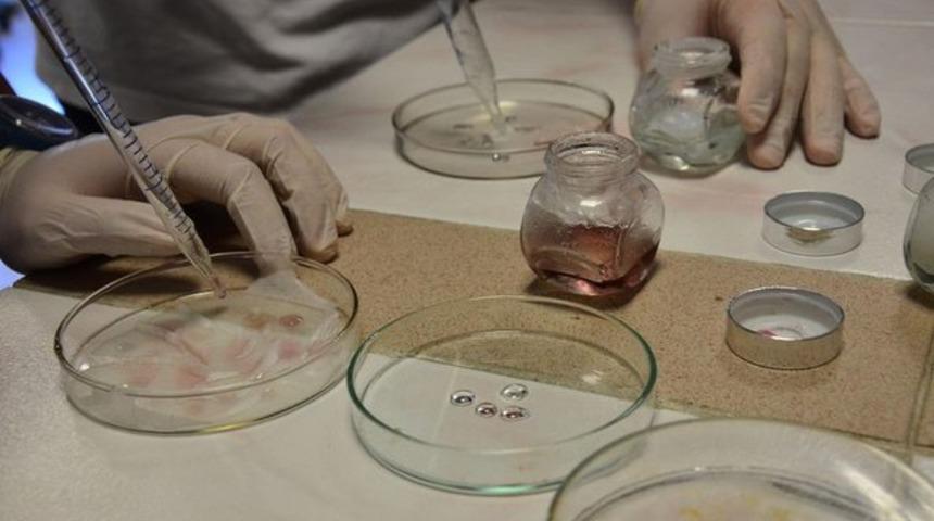 Projeleri T&Uuml;BİTAK tarafından kabul edilmedi Harvard'dan teklif aldılar!