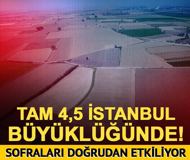 Tam 4,5 İstanbul büyüklüğünde! Sofraları doğrudan etkiliyor