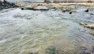 Baharın habercisi derede suları akmaya başladı