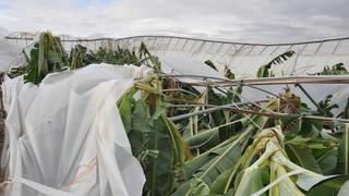 Mersin'de şiddetli rüzgar ve doludan 150 dönüm sera zarar gördü