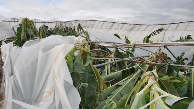 Mersin'de şiddetli rüzgar ve doludan 150 dönüm sera zarar gördü