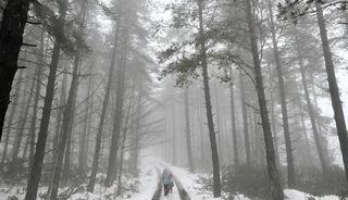 D&uuml;zce'de kar etkili oldu! Gece boyunca s&uuml;recek