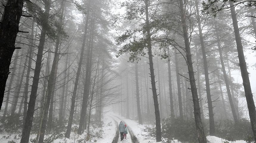 D&uuml;zce'de kar etkili oldu! Gece boyunca s&uuml;recek
