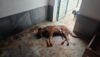 O g&ouml;r&uuml;nt&uuml;ler infial yaratmıştı: G&ouml;revden alındılar!