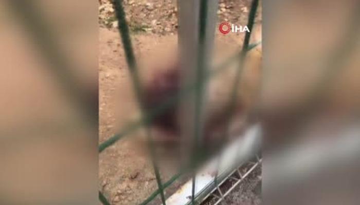 O g&ouml;r&uuml;nt&uuml;ler infial yaratmıştı: G&ouml;revden alındılar!