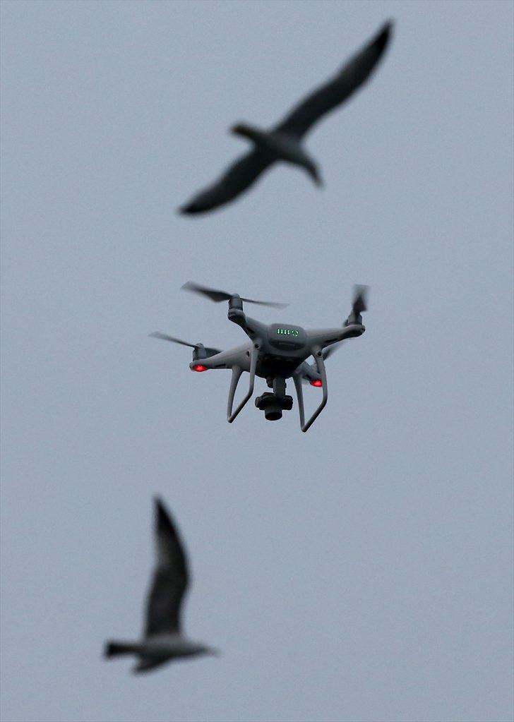 Drone'un martı mücadelesi G1