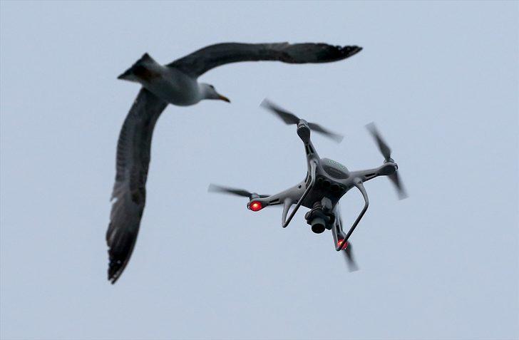 Drone'un martı mücadelesi G2