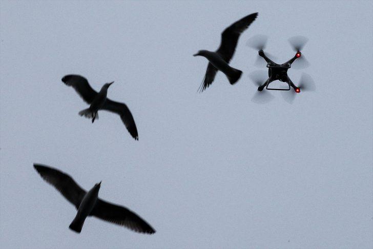 Drone'un martı mücadelesi G4