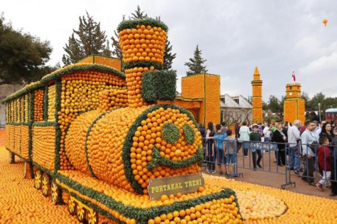 Antalya'da 'Portakal &Ccedil;i&ccedil;eği G&uuml;nleri' başladı 