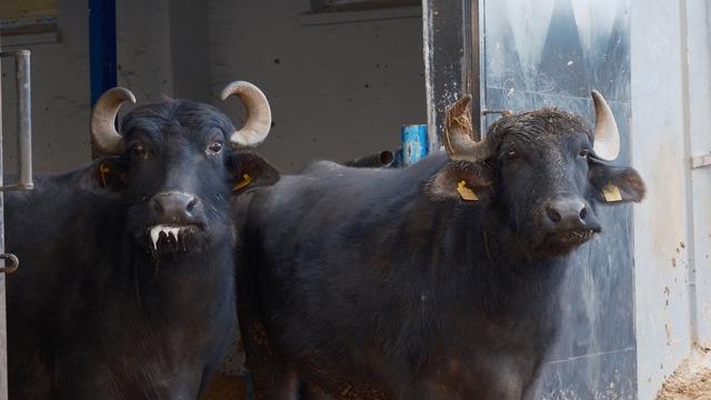 Ara tatil bitti, Aydın’da öğrenciler okula döndü