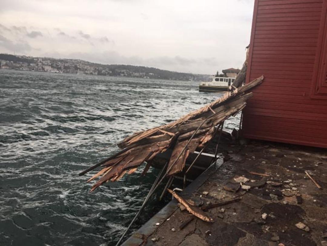  D&uuml;nyada sadece &uuml;&ccedil; tane var 