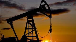 Türkiye'nin petrol ithalatı ocakta yüzde 2 azaldı