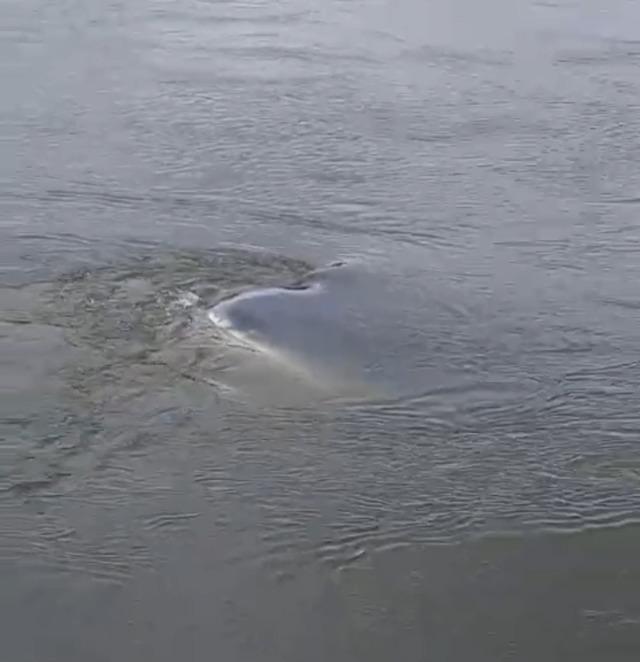 Edirne&rsquo;de taşkında nehre d&uuml;şen otomobil 1 ay sonra bulundu 6