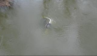 Edirne&rsquo;de taşkında nehre d&uuml;şen otomobil 1 ay sonra bulundu