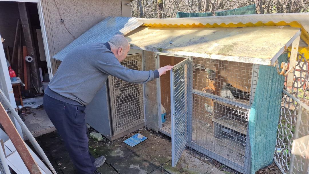 Her yerde var ama bunun kıymeti bir başka! &lsquo;1 ev parasına veriyorlar&rsquo;  3