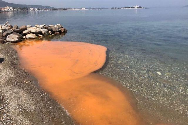 İzmir’de korkutan görüntü