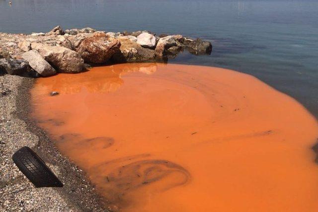 İzmir’de korkutan görüntü