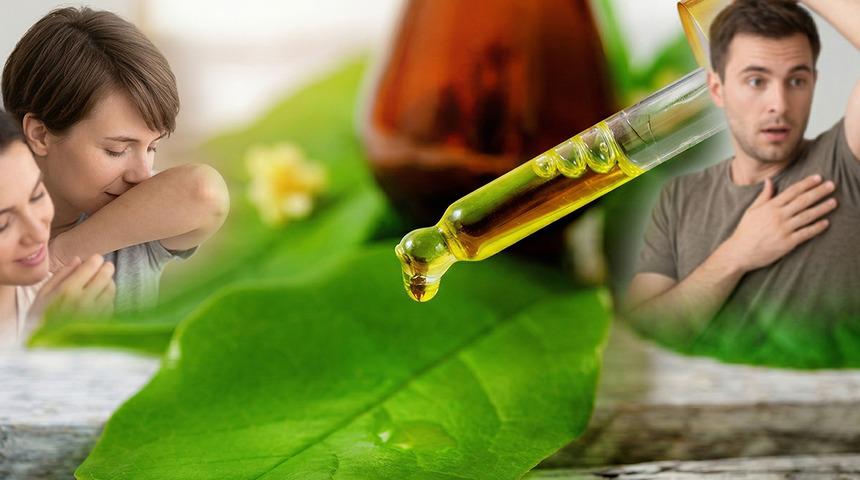 Ter kokusuna karşı doğal &ccedil;&ouml;z&uuml;m: 10 damlası yetiyor!