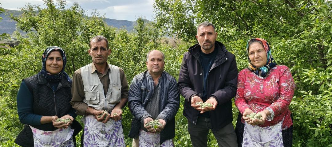 Bu yıl erken &ccedil;ıktı! Kilosu 150 TL ama faydaları i&ccedil;in kapış kapış gidiyor 4