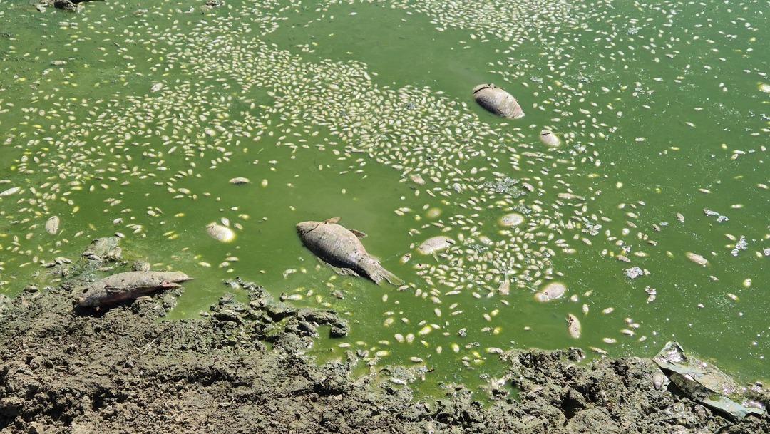Ge&ccedil;en yıl tamamen kurumuştu! Bu yıl &ccedil;atlayan topraklar suyla buluştu 1