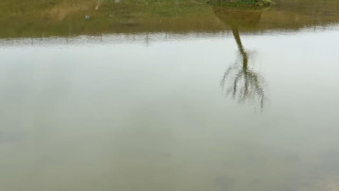 Ge&ccedil;en yıl tamamen kurumuştu! Bu yıl &ccedil;atlayan topraklar suyla buluştu 2