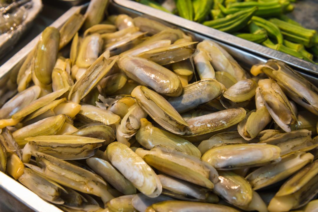 Japonya arıyor T&uuml;rkiye ye yağıyor! Denizin hazinesi fırtınayla sahile vurdu 2