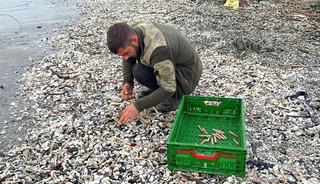 Japonya arıyor T&uuml;rkiye'ye yağıyor! Hazine ayaklarına kadar geldi