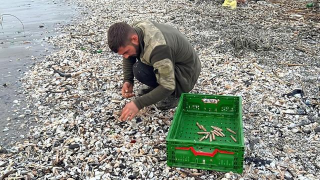 Japonya arıyor Türkiye'ye yağıyor! Denizin hazinesi fırtınayla sahile vurdu