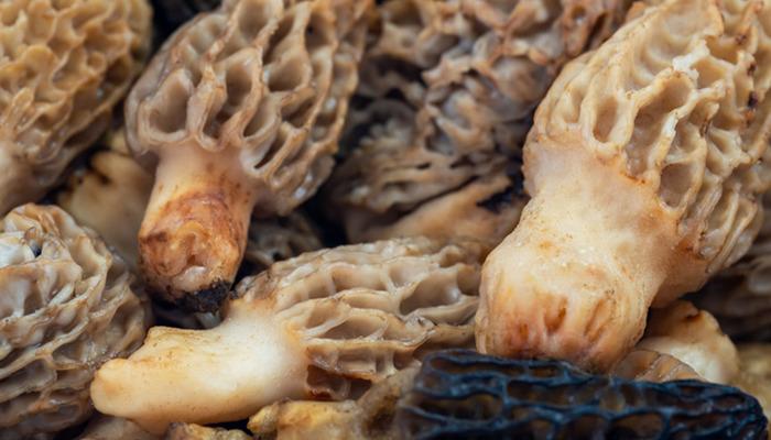 Zehir de olabilir şifa da! Saatlerce haşlayıp yiyorlar: Doğru pişirildiğinde faydaları saymakla bitmiyor