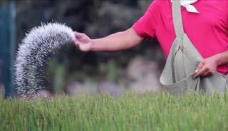 "T&uuml;rkiye'de g&uuml;bre krizi" iddiasına a&ccedil;ıklama geldi