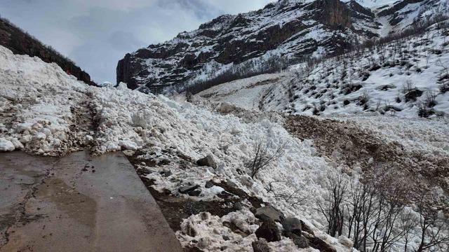 Şırnak’a son dönemlerin en büyük çığı düştü