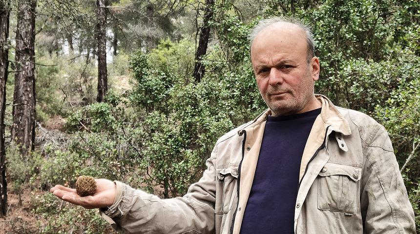 Altın bulmuş gibi seviniyorlar! Yağmurdan sonra ortaya &ccedil;ıkıyor, doğada kendiliğinden yetişiyor