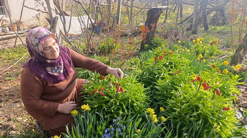 G&uuml;zelliği sadece 20 g&uuml;n s&uuml;r&uuml;yor: Şehir dışından bile g&ouml;rmeye gelen var!