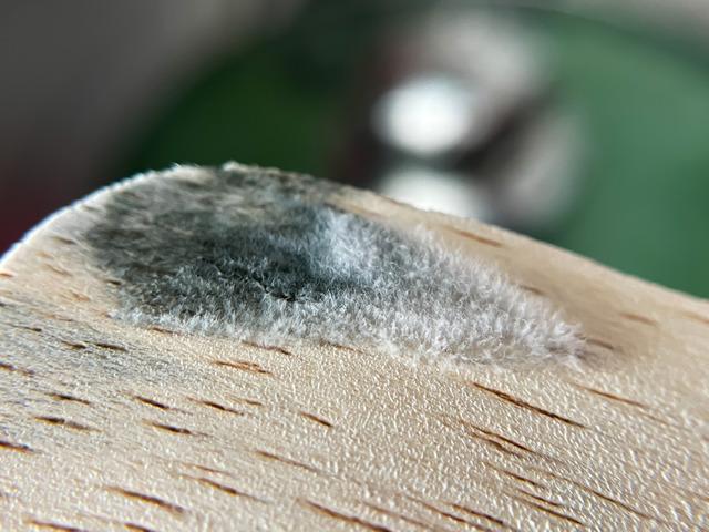 En zararlı ev eşyası a&ccedil;ıklandı! Adeta k&uuml;f yuvası