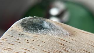 En zararlı ev eşyası açıklandı! Her evde bulunuyor, adeta küf yuvası